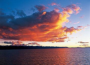 《噬血代码2》现已上架Steam平台 自带简中